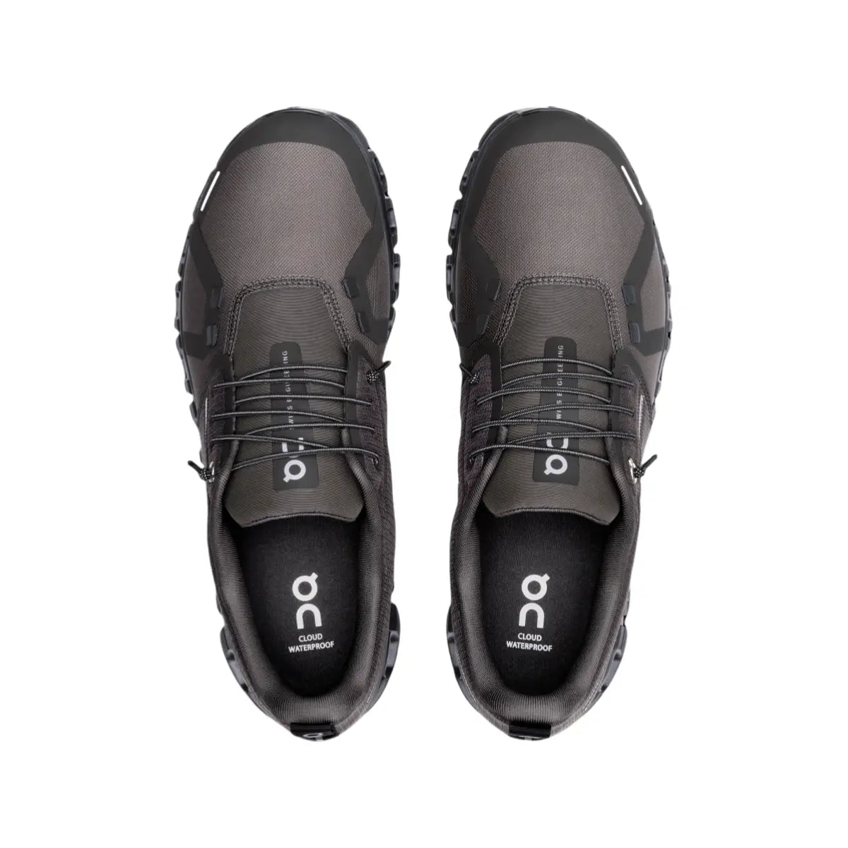 On Cloud 6  Women's Thorn  Black  WP